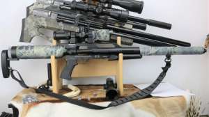 Big Bore Airgun LEAD