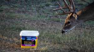 Big J Headrush for web