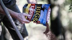 Big and J Legit beauty