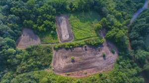 Big vs little food plots