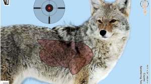 Birchwood Casey targets GSM