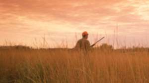 Bird Hunting2 Husky Liners 181003 155214