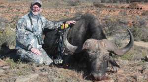 Bob Cape buffalo cropped