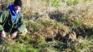 Bobcat trap with Jason Hauser