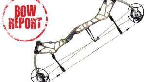 Bow Report Bear Archery33