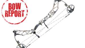 Bow Report Elite Impulse31