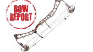 Bow Report Elite Synergy 181003 160720