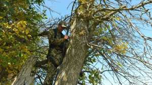 Bow World Up Front Less Than Perfect1