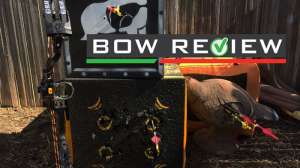 Bow Report Card Lead BEAR ESCAPE