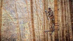 Bowhunting open stance beauty