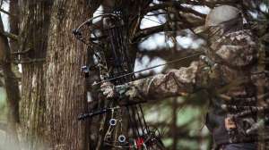 Bowtech Solution hunter in tree camo