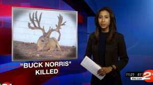 Buck Norris KTV Zscreengrab 181010 155044