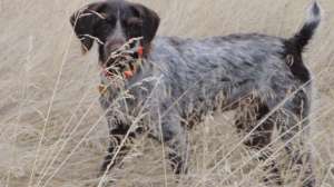 Buddy Scott Linden 181003 155317