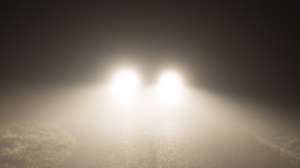 Bump Deer With Truck