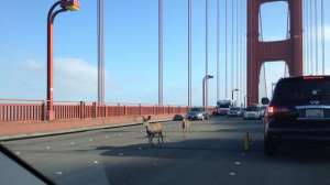 Bwz2sr0 CYAI Xf Q Bjpg large 181003 160004