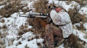 CH Howling for coyotes copyright Mark Kayser