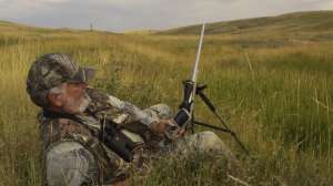 CH Summer calling in tall grass copyright Mark Kayser