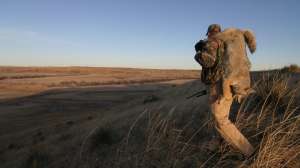 CH229 Coyote hunter after successful setup copyright Mark Kayser e1498748824373