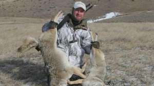 CH266 Mark Kayser with coyotes called in on small property 700 181004 084457