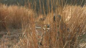 CH361 Hunter calling coyotes copyright Mark Kayser