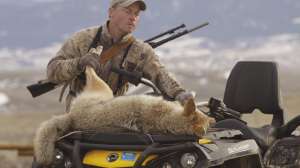 CH Successful coyote hunt using varying strategies copyright Mark Kayser e1501271479395