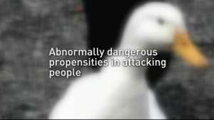 CMC Screen Shot 2014 04 28 at 955 181003 160352