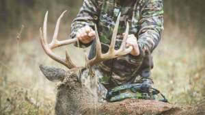 Caleb Parry 5 cropped