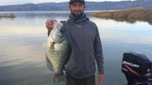 California record black crappie