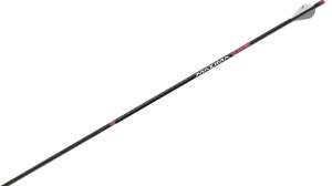 Carbon Express PNK RZ 181004 084546