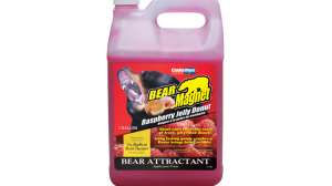 Code Blue Bear Magnet Raspberry 181003 161410