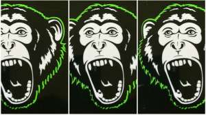 Collage 3 Fish Monkey