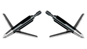 Collage Blood Sport Deadline