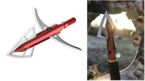 Collage Bloodsport Gravedigger Extreme