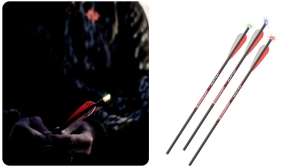 Collage Bloodsport Strobe