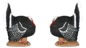 Collage Delta Mc Kenzie Strutter beauty