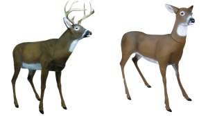 Collage Flambeau Boss Buck and Boss Babe