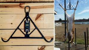 Collage Hanging Judge