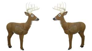 Collage Jimmy Big Tine