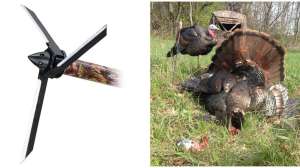 Collage Magnus Bullhead