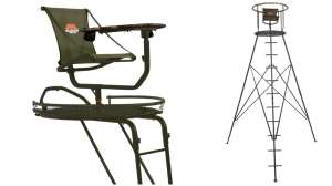 Collage Millennium stands for 2019