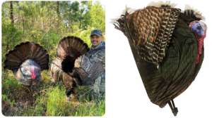 Collage Montana Decoy 3 D strutter