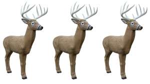 Collage Rinehart Midwest Buck target beauty