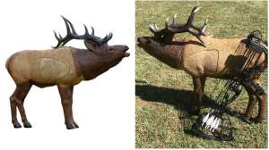 Collage Rinehart one third elk