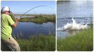 Collage Roland Martin shorefishing