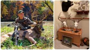 Collage antler display low