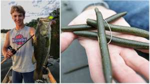 Collage one two punch