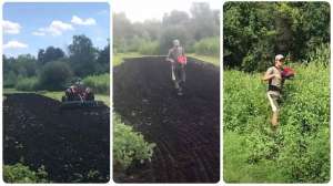 Collage till vs no till planting video