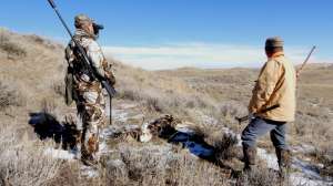 Coyote Neal Emery looks for coyotes as Kelly Glause inspects a coyote killed buck copyright Mark Kayser edt