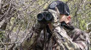 Coyote Summer scouting copyright Mark Kayser