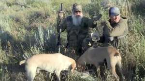 Coyote hunting dogs Montana Foxpro